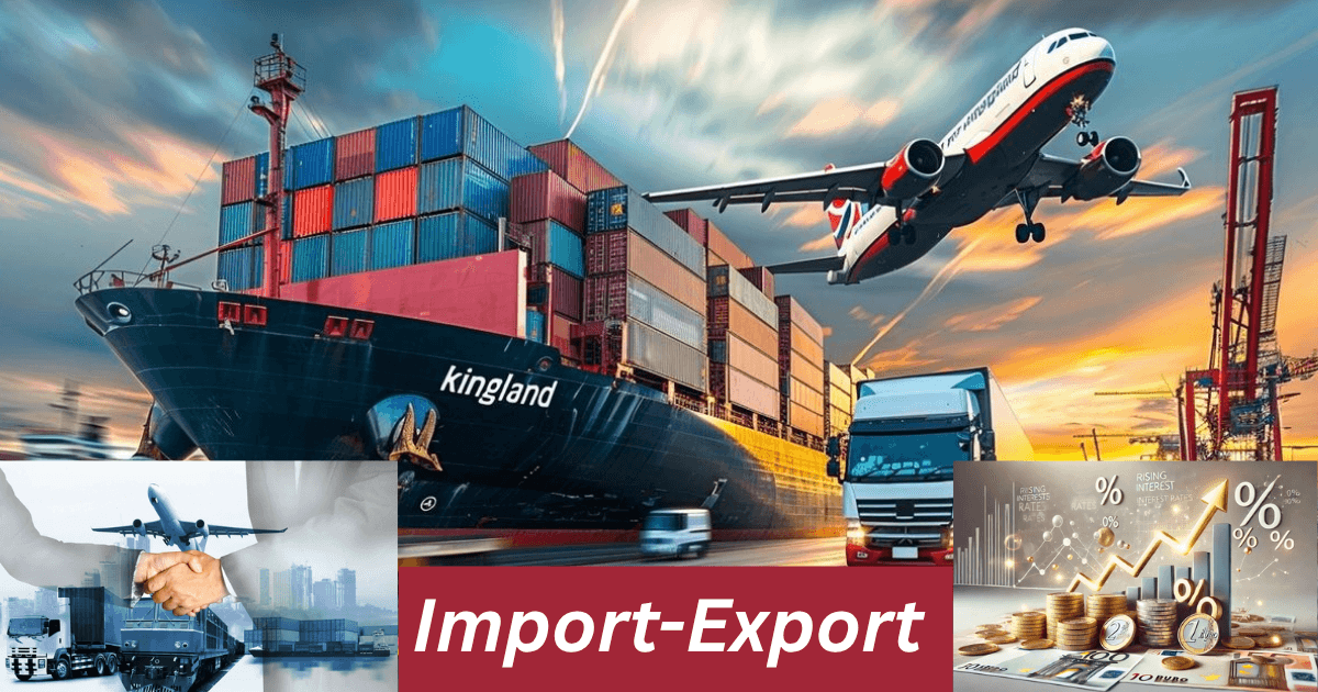 A Complete Guide on How to Use Robo Books in Export-Import Business 